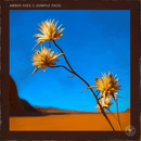 Pelham & Junior - Amber Hues Vol. 2