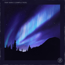 Pelham & Junior - Trap Aura Vol. 2 Sample Pack
